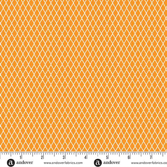 Manufacturer: Andover Fabrics
Designer: Libs Elliott
Collection: PRISMATIC
Print Name: Fishnet in Signal
Material: 100% Cotton
Weight: Quilting
SKU: A-10440-O
Width: 44 inches