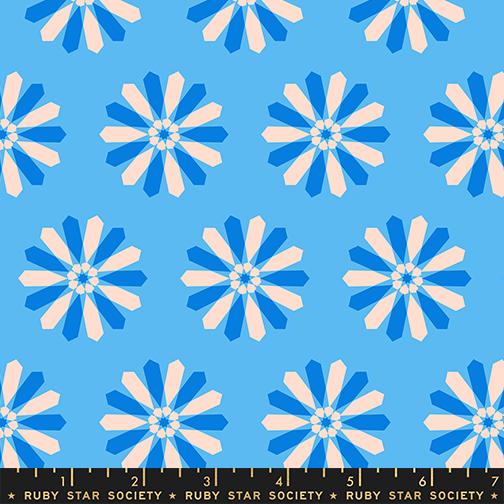 Manufacturer: Ruby Star Society
Designer: Melody Miller
Collection: Sparkle Mart
Print Name: Freshly Picked in Altitude
Material: 100% Cotton
Weight: Quilting
SKU: RS0119-13
Width: 44 inches