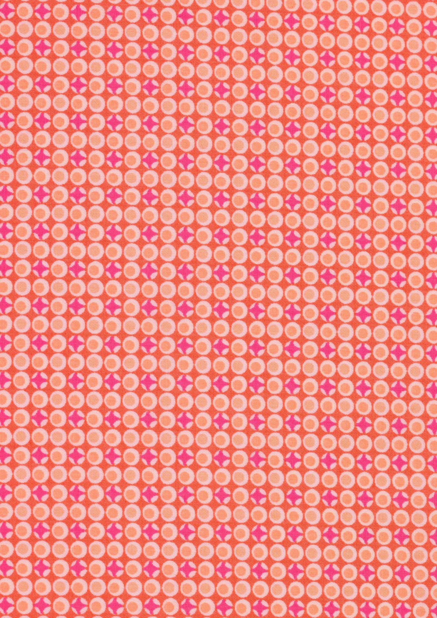 Petit Pan - Coupons - Django in Tangerine