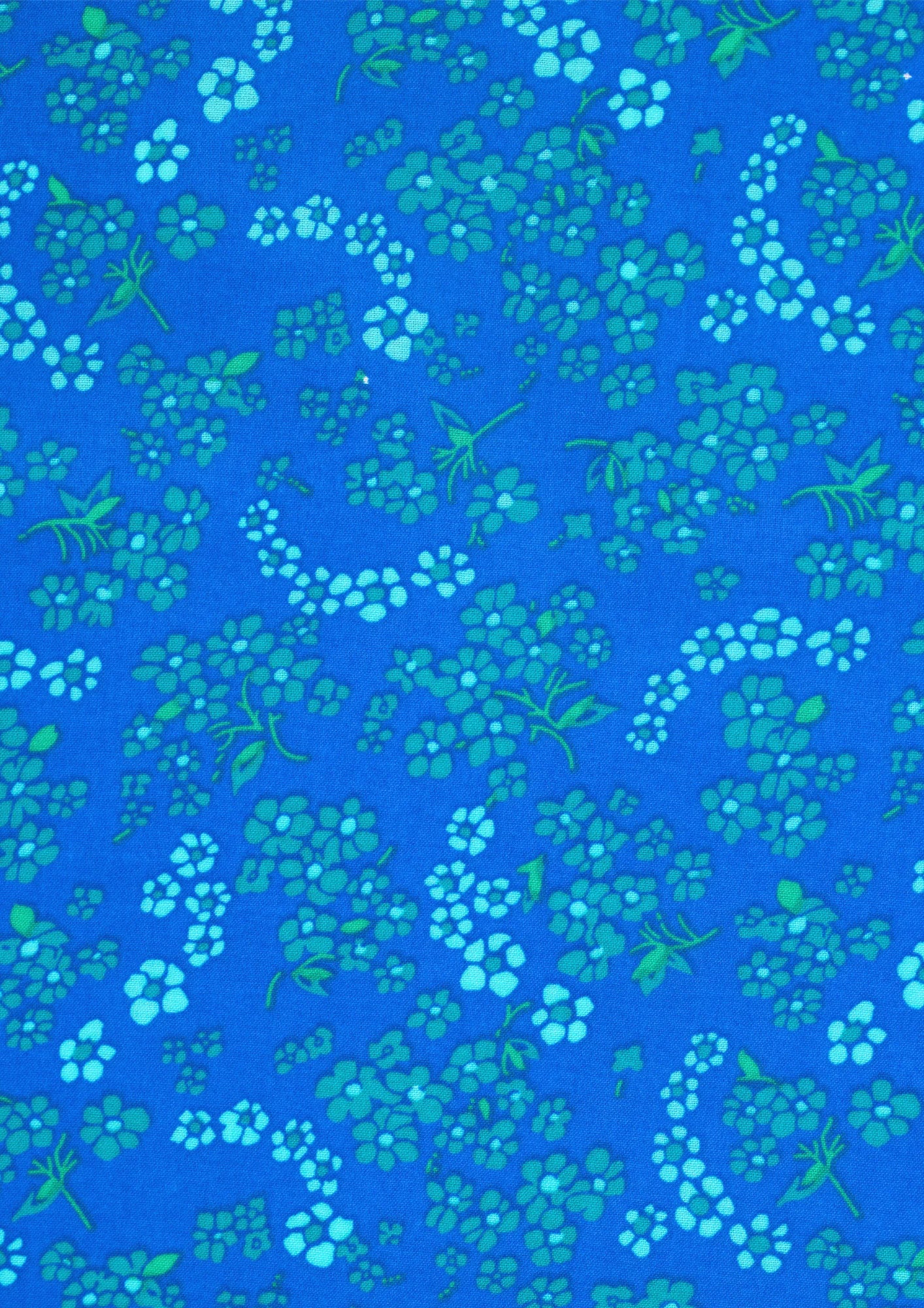 Petit Pan - Coupons - Hanako in Blue
