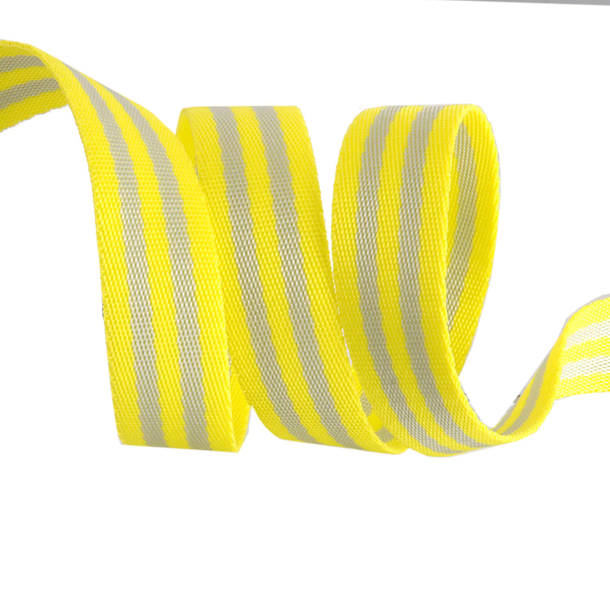 Tula Pink 1" Nylon Webbing by Renaissance Ribbons. Webbing is SOLD BY THE YARD.