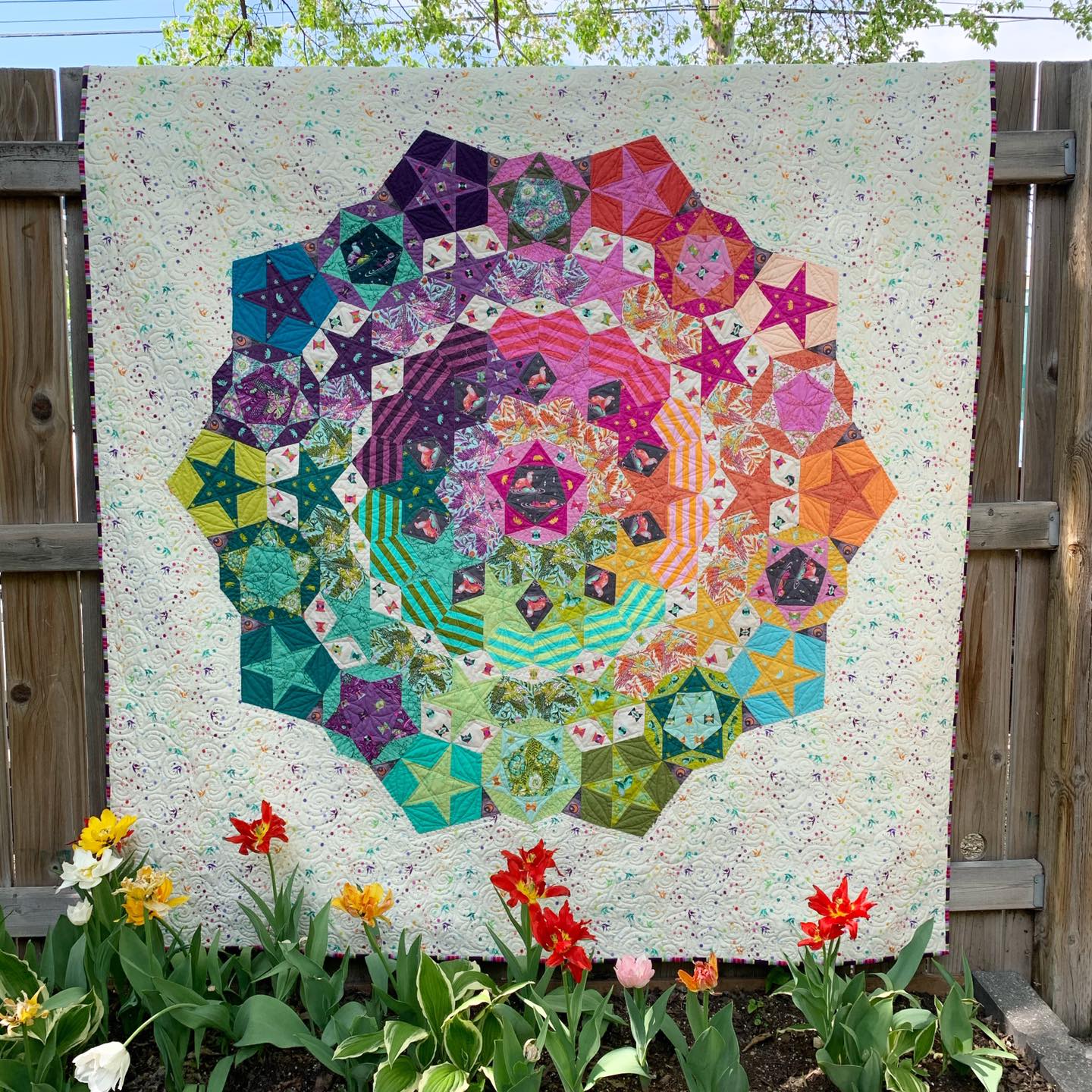 EPP Supplies – Birdie and Dot Fabrics