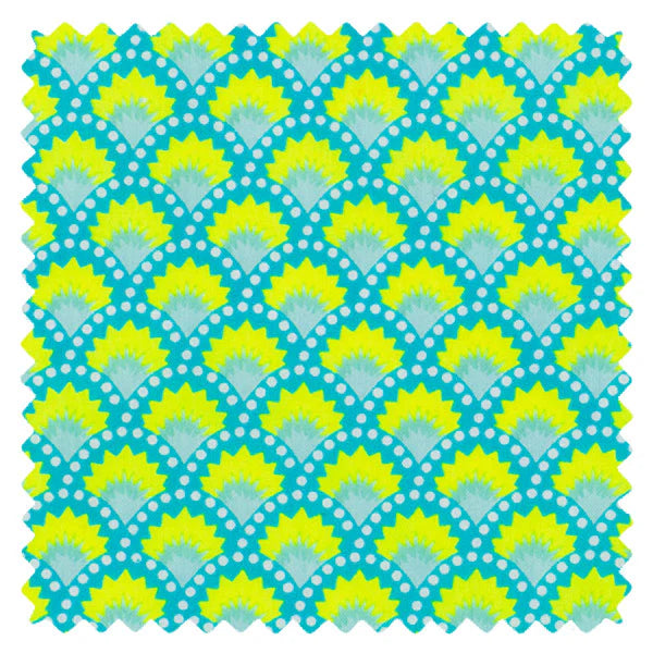 Petit Pan - Coupons - Wasabi in Aruba Blue