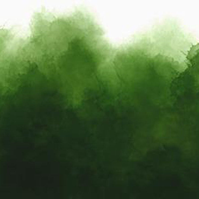 Manufacturer: Moda Fabrics
Designer: V and Co.
Collection: Mystic Ombre
Print Name: Mystic Ombre in Evergreen
Material: 100% Cotton
Weight: Quilting
SKU: 10876-324
Width: 44 inches