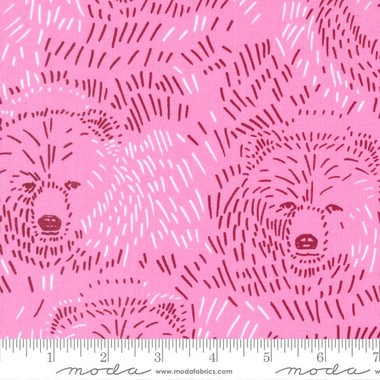 Manufacturer: Moda Fabrics Designer: Aneela Hoey Collection: Marigold Print Name: Bears in Dianthus Material: 100% Cotton Weight: Quilting  SKU: 24600-16 Width: 44 inches