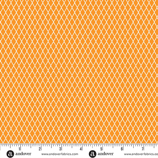 Manufacturer: Andover Fabrics
Designer: Libs Elliott
Collection: PRISMATIC
Print Name: Fishnet in Signal
Material: 100% Cotton
Weight: Quilting
SKU: A-10440-O
Width: 44 inches