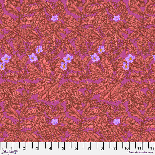 Manufacturer: FreeSpirit Fabrics Designer: Anna Maria Horner Collection: Good Gracious Print Name: Silverwood in Coral Material: 100% Cotton  Weight: Quilting  SKU: PWAH222.CORAL Width: 44 inches
