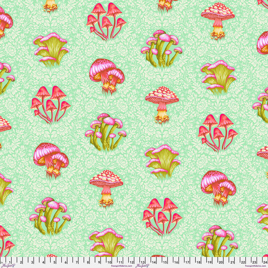 Manufacturer: Freespirit Fabrics
Designer: Tula Pink
Collection: Down to Earth
Print Name: Morel Support in Afterglow
Material: 100% Cotton
Weight: Quilting
SKU: PWTP293.AFTERGLOW
Width: 44 inches