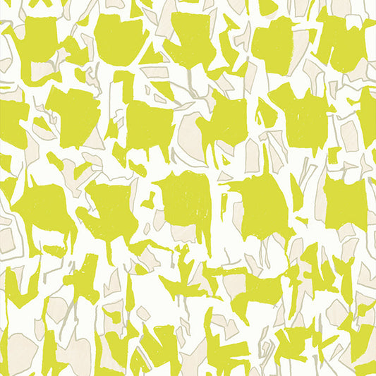 Manufacturer: Ruby Star Society
Designer: Carolyn Friedlander
Collection: Memento
Print Name: Explore in Citron
Material: 100% Cotton
Weight: Quilting
SKU: RS8001-12
Width: 44 inches