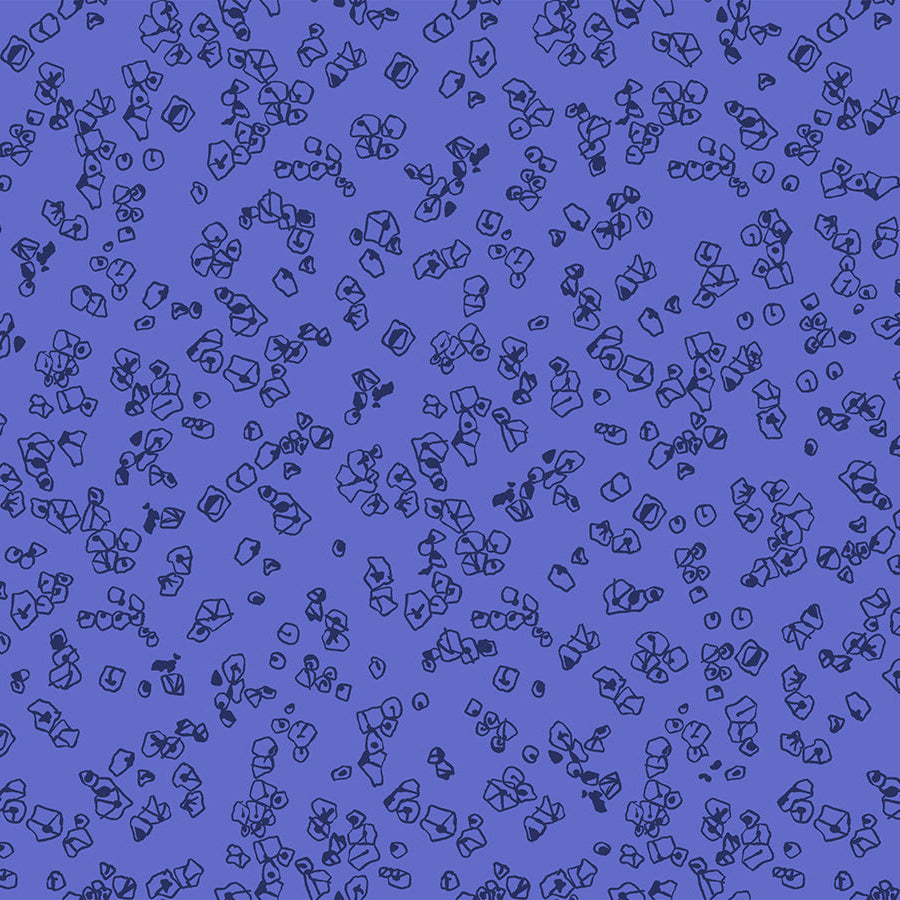 Manufacturer: Ruby Star Society
Designer: Carolyn Friedlander
Collection: Memento
Print Name: Grit in Lapis
Material: 100% Cotton
Weight: Quilting
SKU: RS8004-16
Width: 44 inches