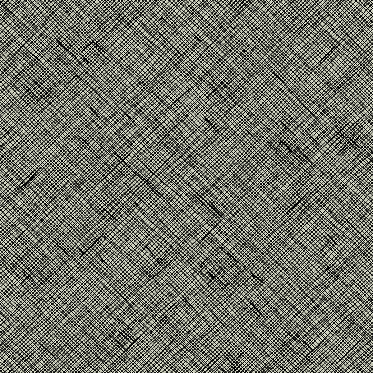 Manufacturer: Ruby Star Society
Designer: Carolyn Friedlander
Collection: Memento
Print Name: Crosshatch in Black
Material: 100% Cotton
Weight: Quilting
SKU: RS8007-17
Width: 44 inches